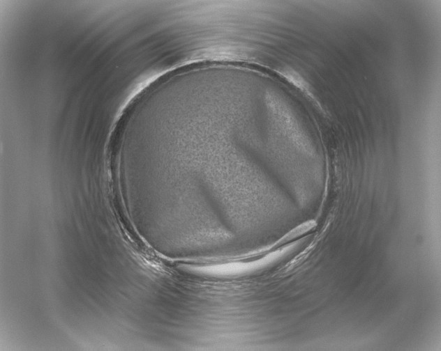 X0000053141070200507251809