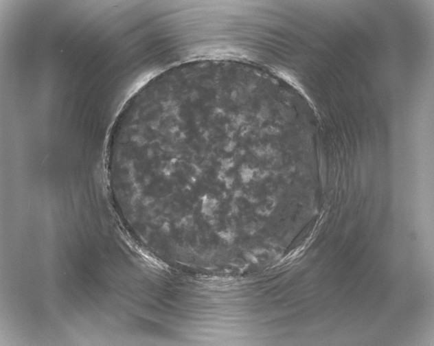 X0000053141071200507251809