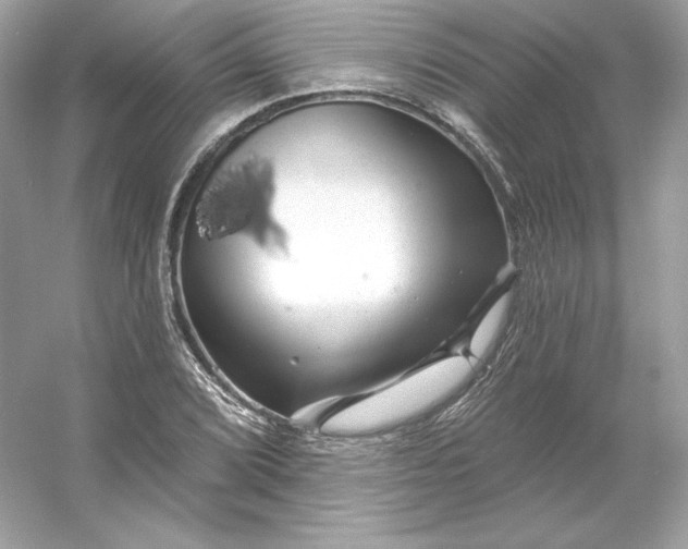 X0000053141072200507251809