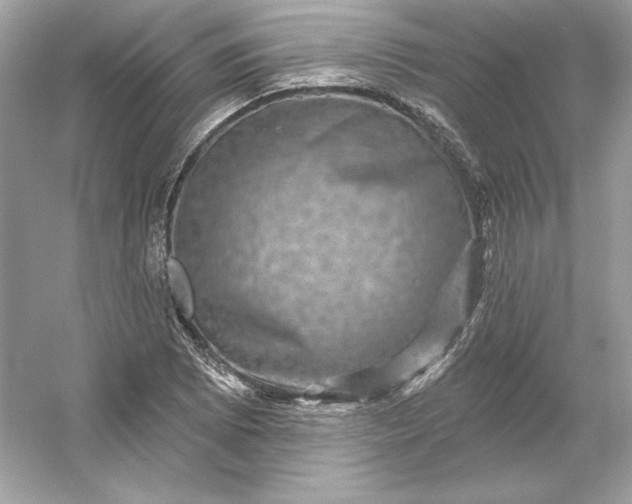 X0000053141073200507251809