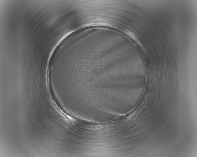 X0000053141076200507251809