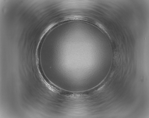 X0000053141082200507251809