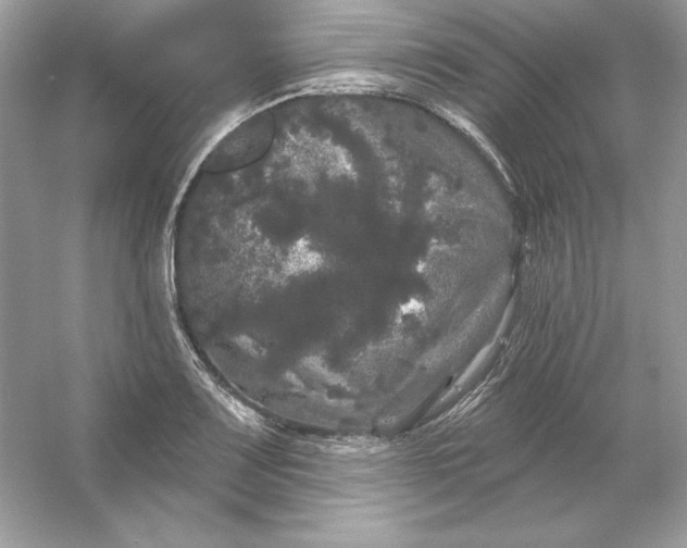 X0000053141083200507251809