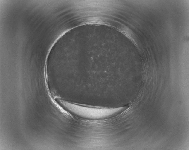 X0000053141084200507251809