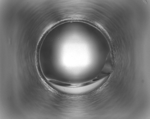 X0000053141085200507251809