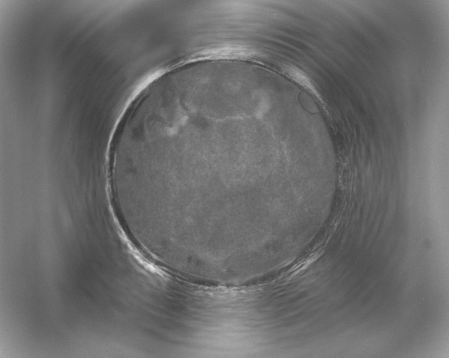 X0000053141087200507251809
