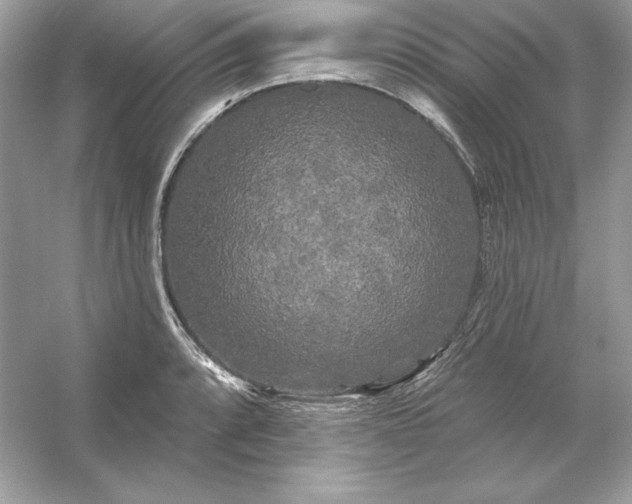 X0000053141088200507251809