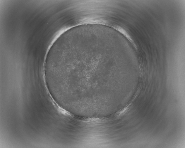 X0000053141094200507251809