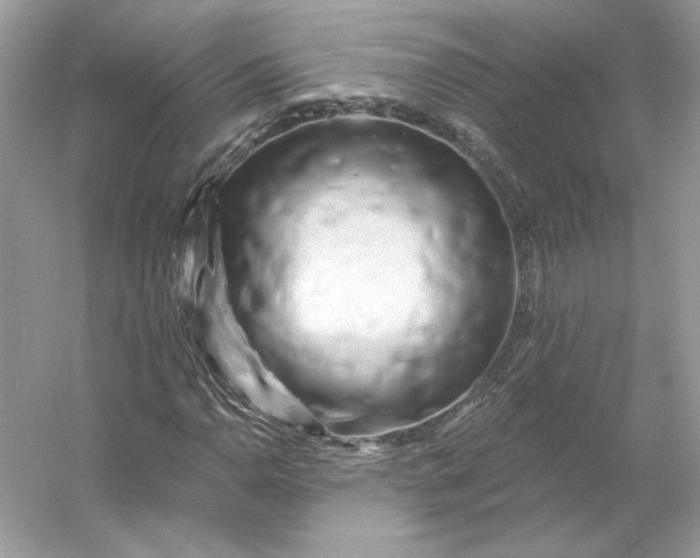 X0000053141110200507251808