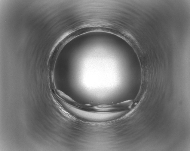 X0000053141114200507251808
