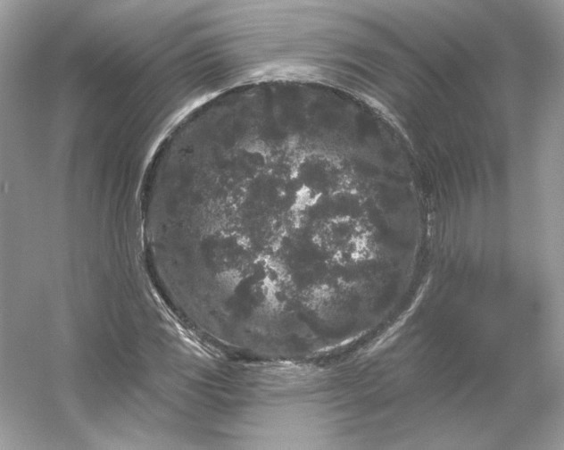 X0000053141117200507251808