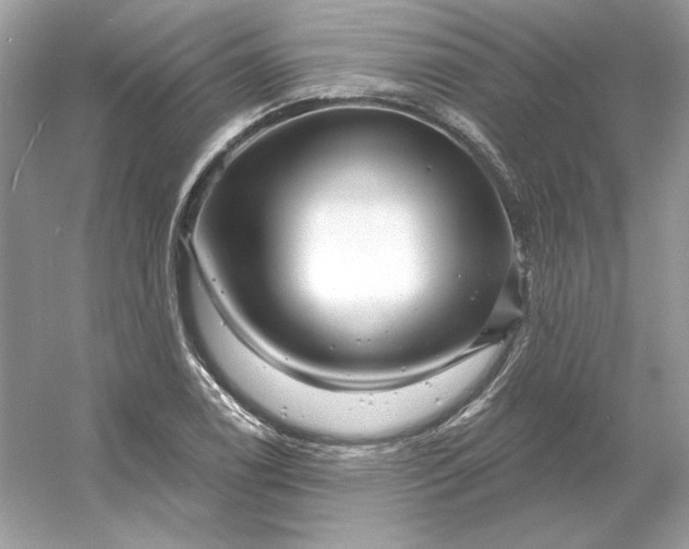 X0000053141122200507251808