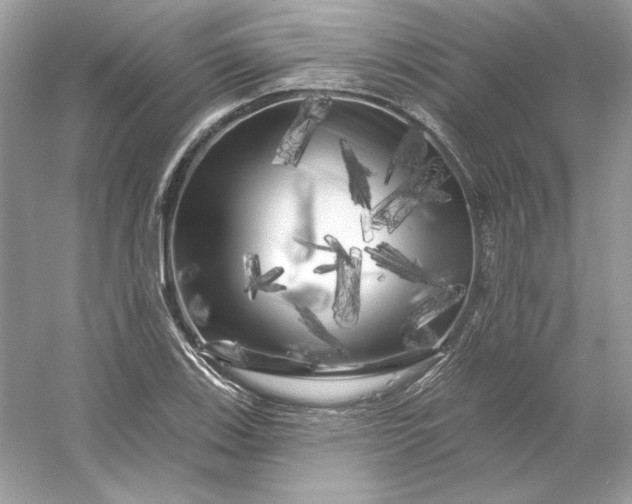 X0000053141123200507251808