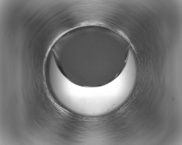 X0000053141124200507251808