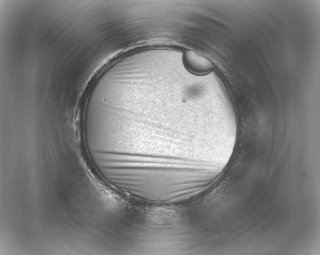 X0000053141126200507251808
