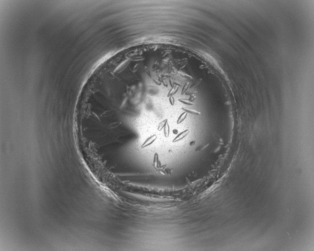 X0000053141133200507251808