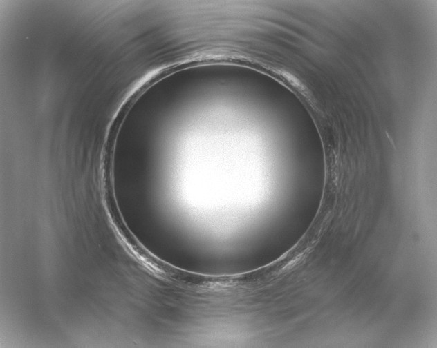 X0000053141134200507251808