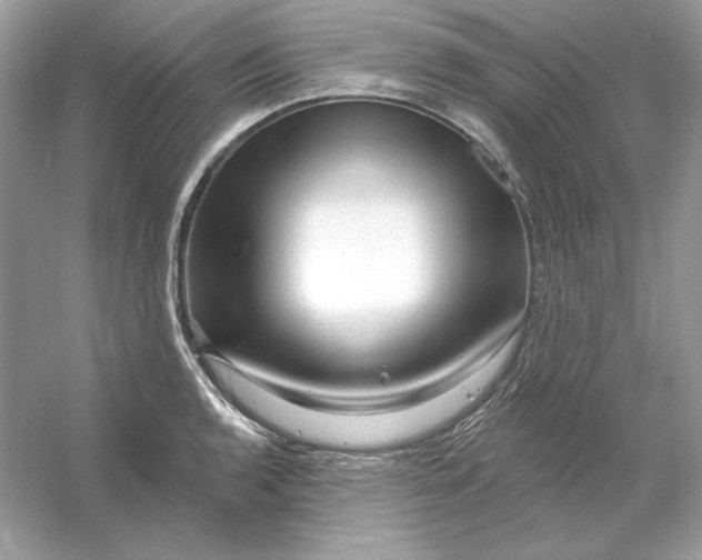 X0000053141136200507251808