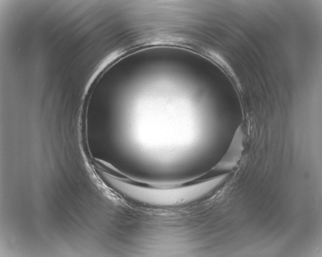 X0000053141138200507251808