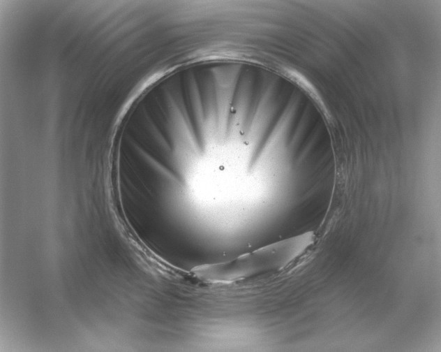 X0000053141146200507251809