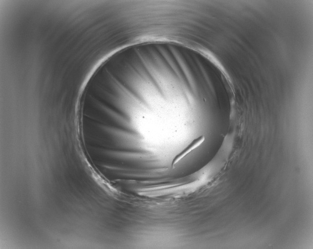X0000053141148200507251809