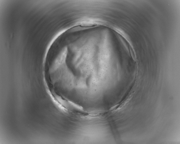X0000053141152200507251809