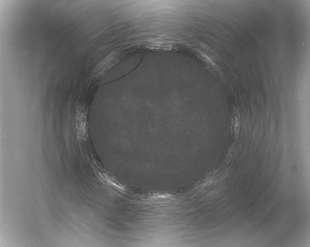 X0000053141154200507251808