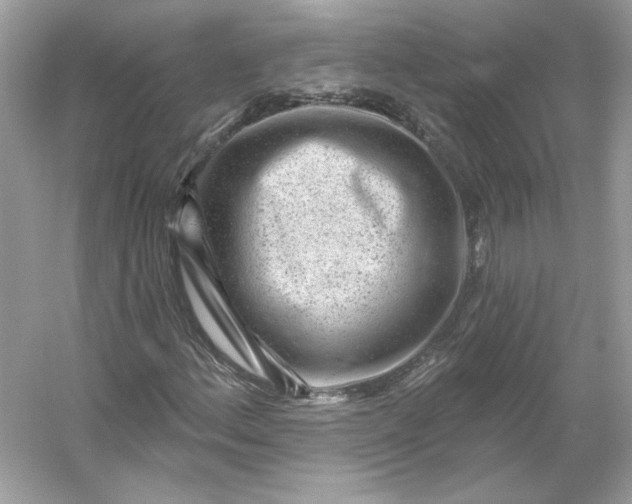 X0000053141156200507251808