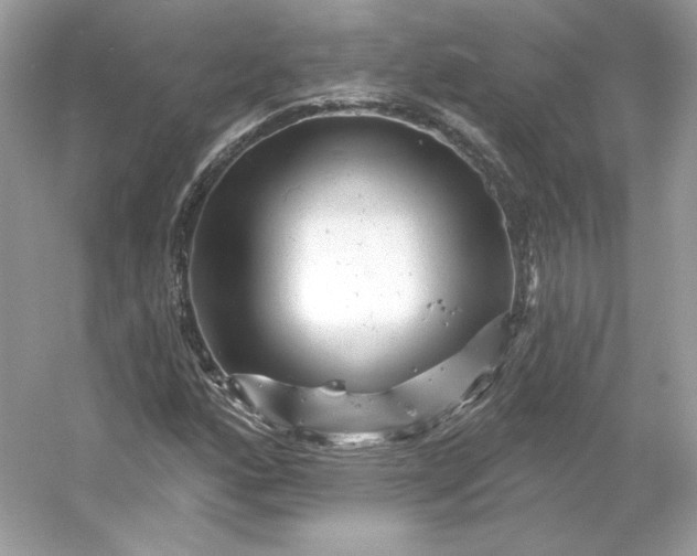 X0000053141160200507251808