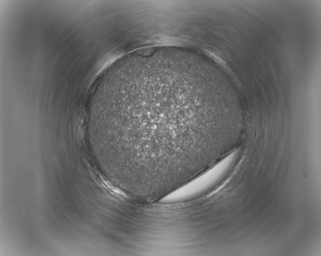 X0000053141163200507251808