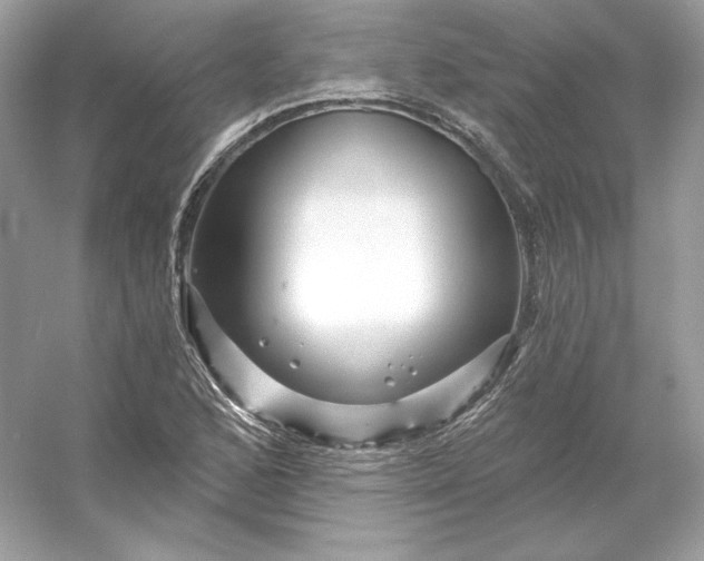 X0000053141168200507251808
