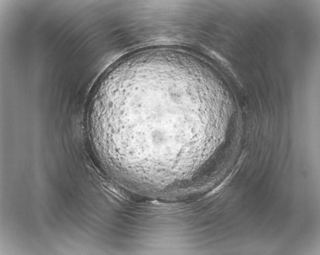 X0000053141170200507251808