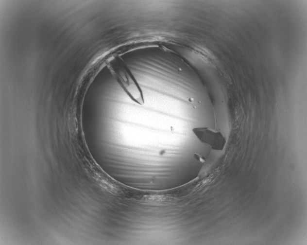 X0000053141172200507251808