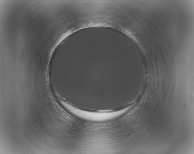 X0000053141173200507251807