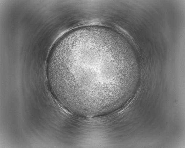 X0000053141174200507251807