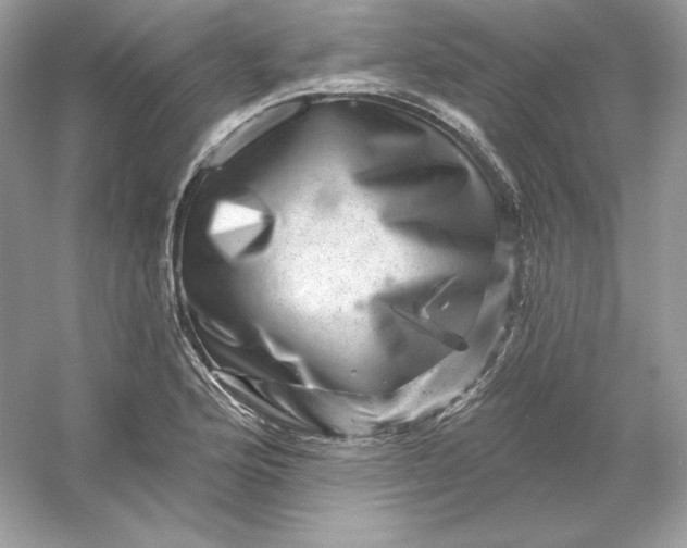X0000053141176200507251807