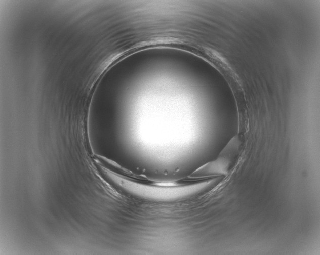 X0000053141177200507251807