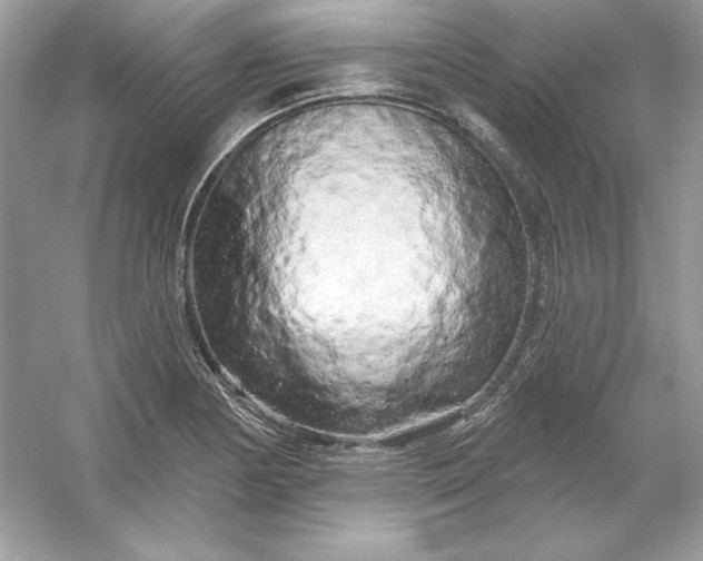 X0000053141178200507251807