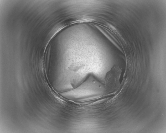 X0000053141186200507251807