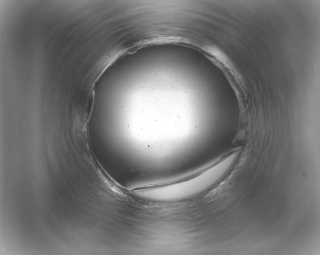 X0000053141193200507251807