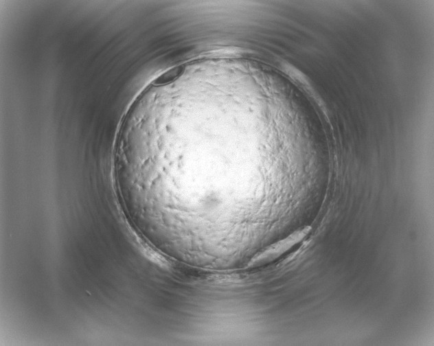 X0000053141194200507251807