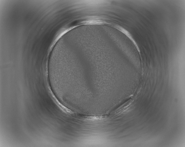 X0000053141195200507251807