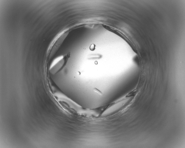 X0000053141196200507251807