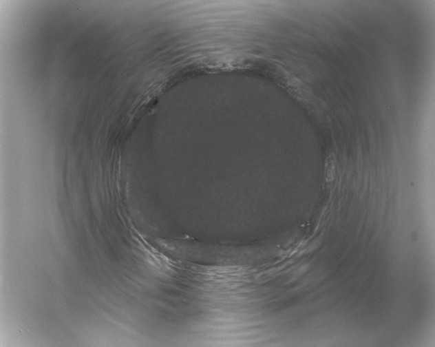 X0000053141202200507251806