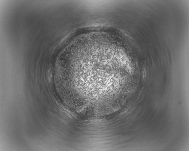 X0000053141204200507251806