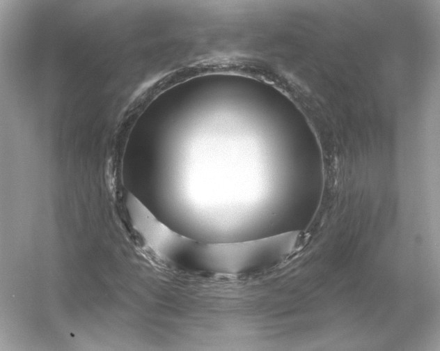 X0000053141206200507251806