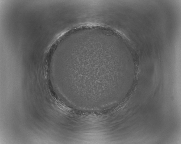 X0000053141207200507251806