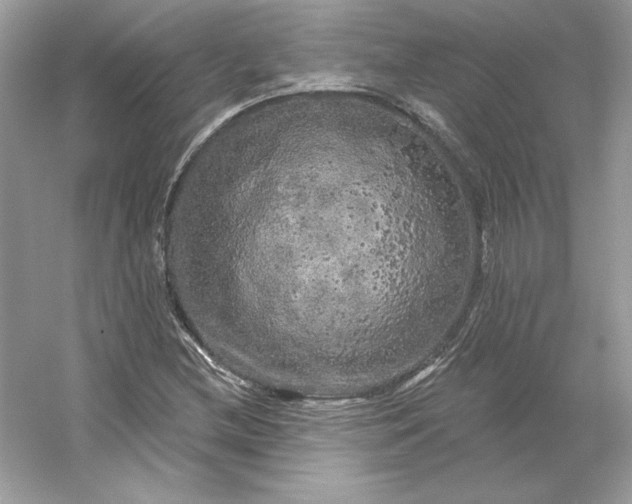 X0000053141212200507251806