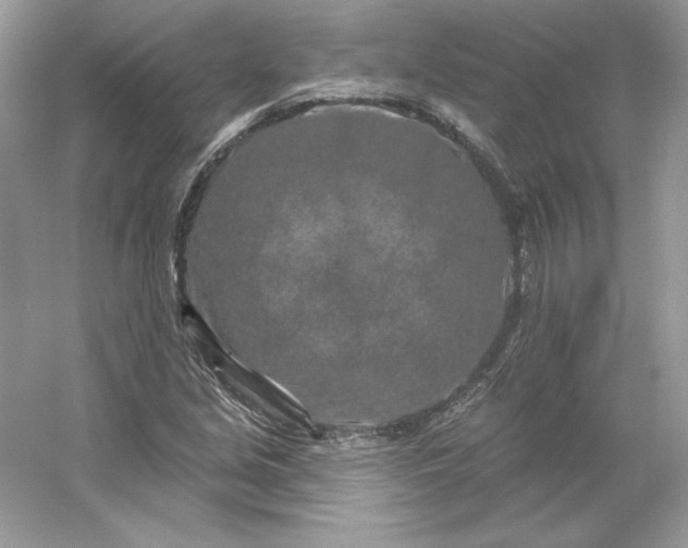 X0000053141213200507251806
