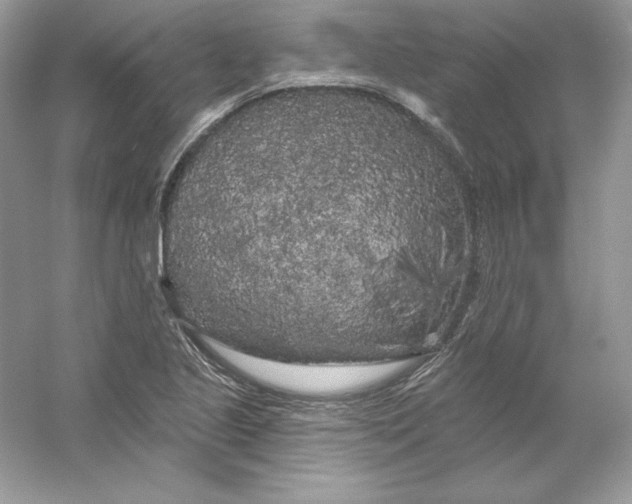 X0000053141221200507251807